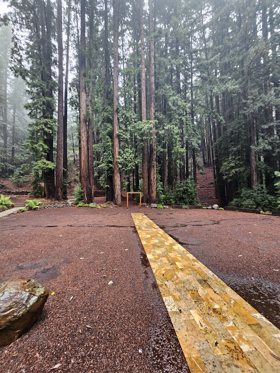 Redwoods wedding venue in the background, transparent behind text